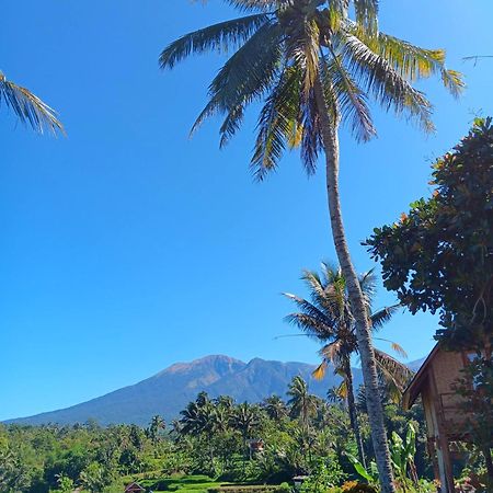 Dewi Rinjani Homestay Tetebatu Bagian luar foto