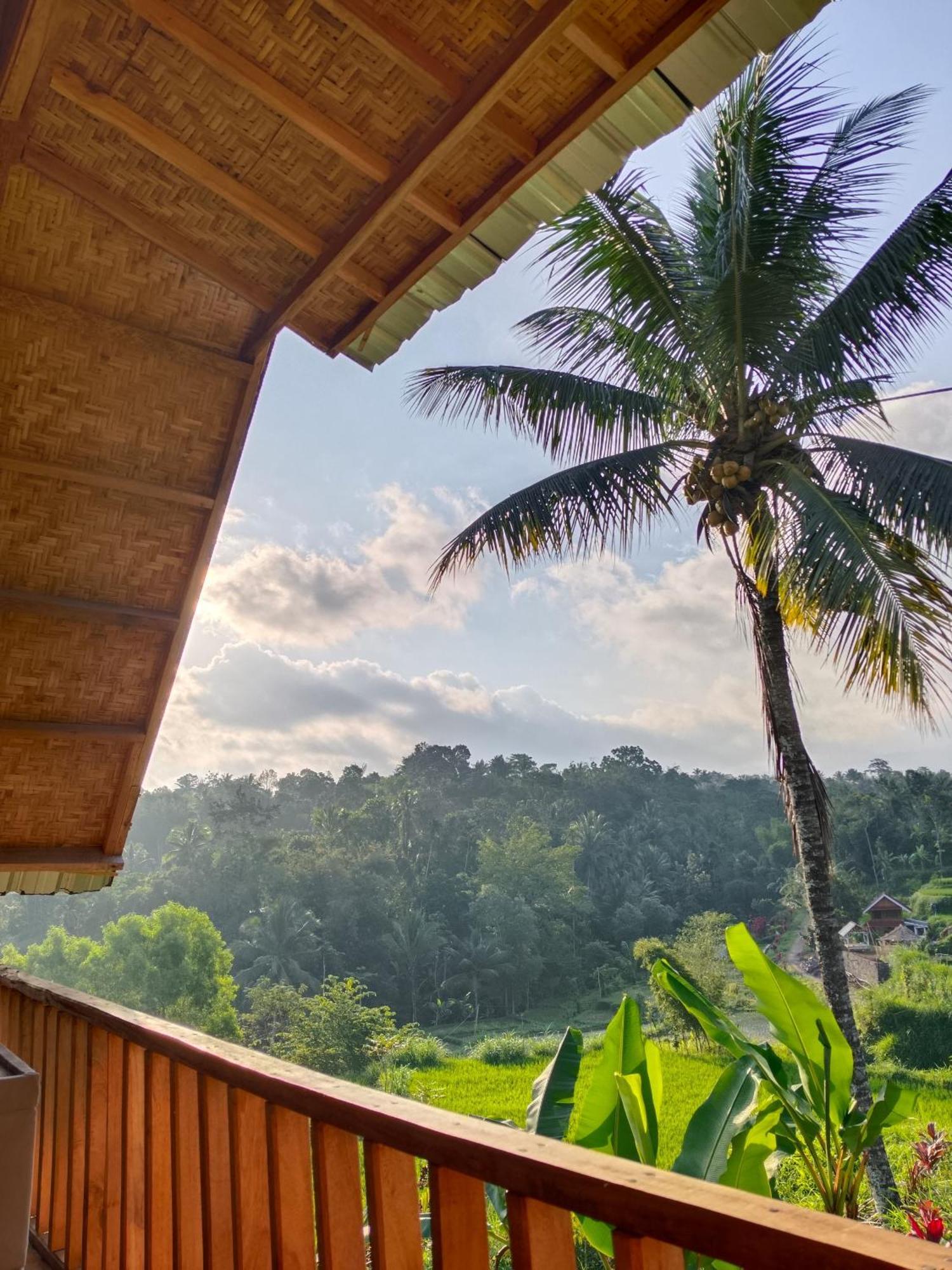 Dewi Rinjani Homestay Tetebatu Bagian luar foto