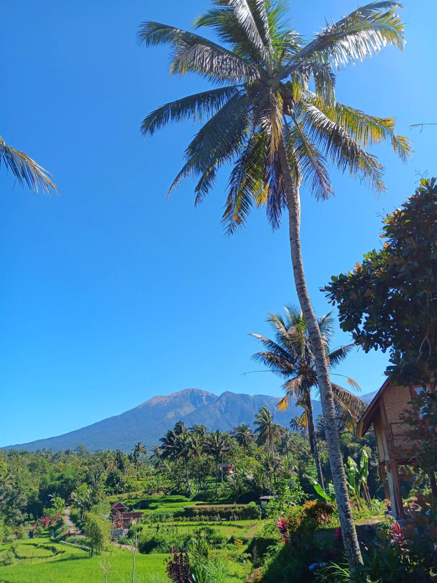 Dewi Rinjani Homestay Tetebatu Bagian luar foto
