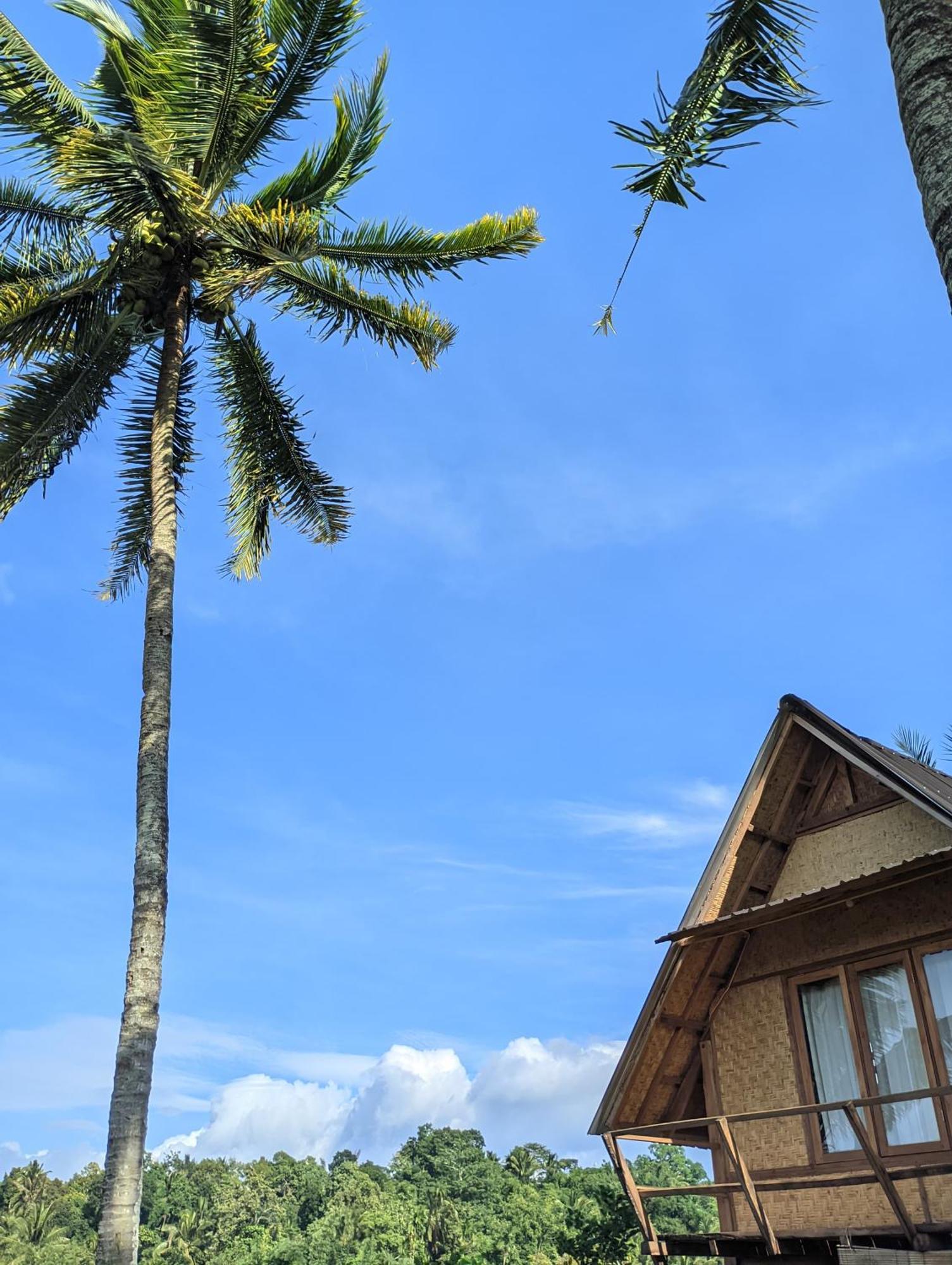 Dewi Rinjani Homestay Tetebatu Bagian luar foto