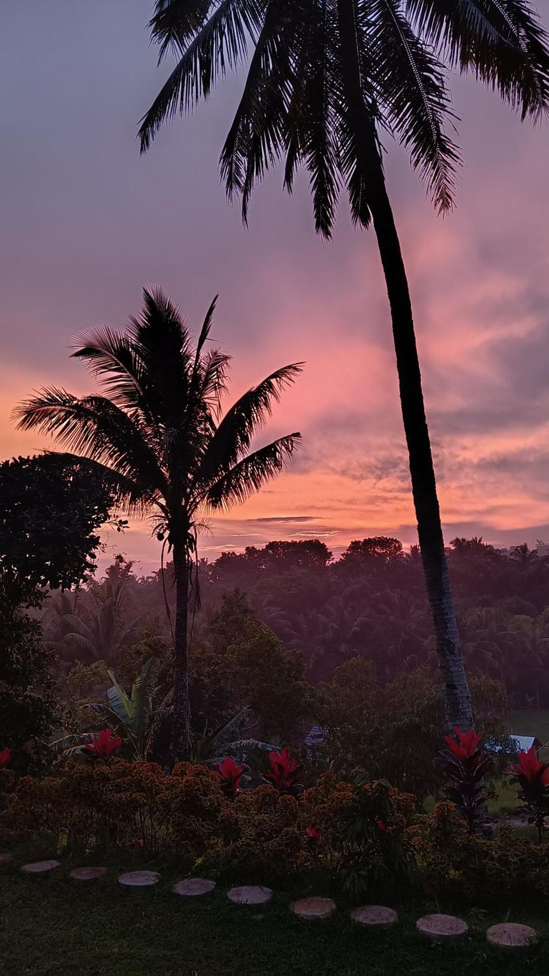 Dewi Rinjani Homestay Tetebatu Bagian luar foto