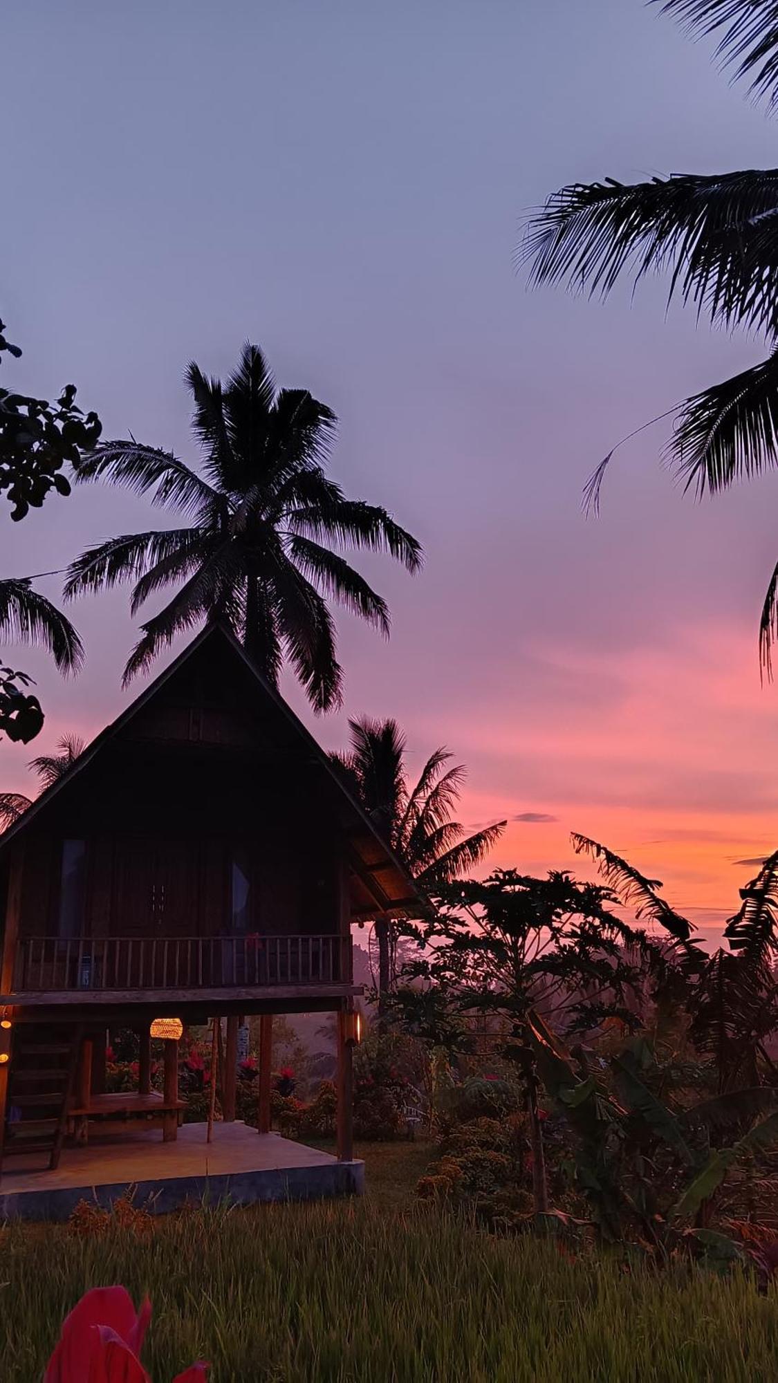 Dewi Rinjani Homestay Tetebatu Bagian luar foto